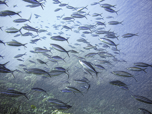 Link zur Veranstaltung - Vorschaubild zur Veranstaltung