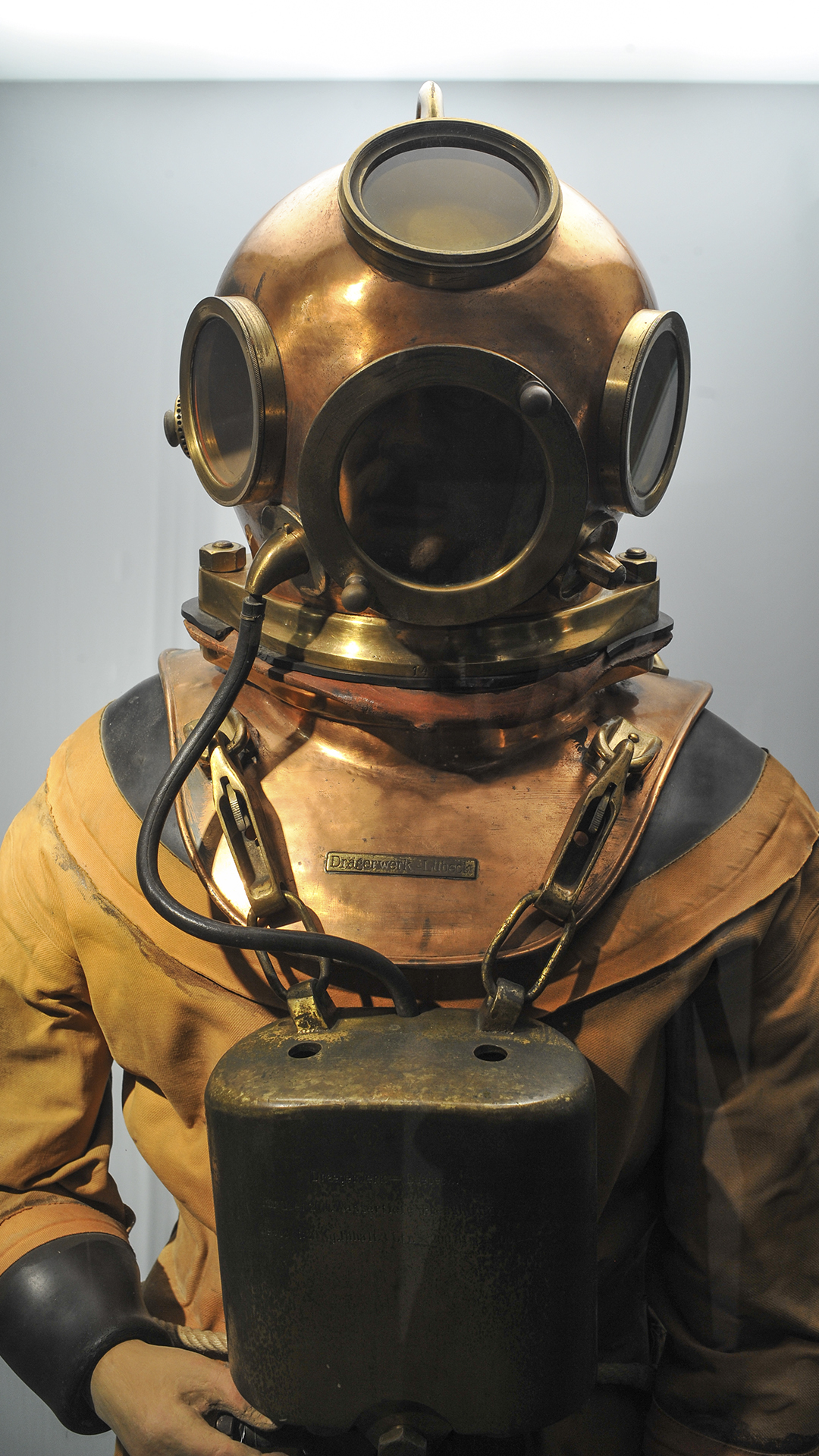 Vorschaubild zur Detailansicht der Veranstaltung: Unter dem Meer - Die Unterwasserwelt entdecken