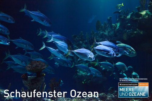 Vorschaubild zur Detailansicht der Veranstaltung: Schaufenster Ozean