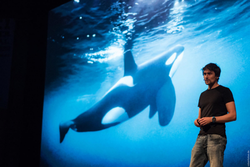 Vorschaubild zur Detailansicht der Veranstaltung: Tiefenrausch mit Uli Kunz