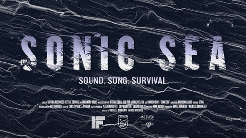 Vorschaubild zur Detailansicht der Veranstaltung: Film+Talk: 5. Fahrradkino SONIC SEA-Der Sound der Meere Dokumentarfilm über akustische Verschmutzung der Ozeane