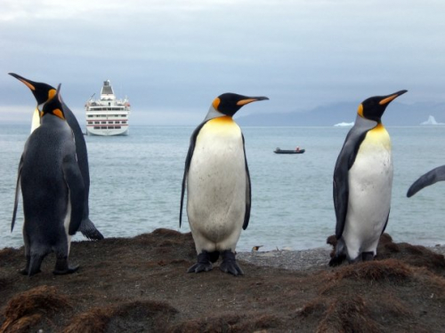 Vorschaubild zur Detailansicht der Veranstaltung: Die Pole - Expedition in eisige Welten
