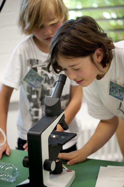 Vorschaubild zur Detailansicht der Veranstaltung: Werkstattnachittag "Mikroskopie" im LWL-Museum für Naturkunde Münster