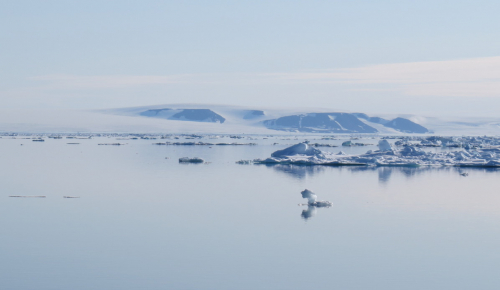Vorschaubild zur Detailansicht der Veranstaltung: Das Klima der Arktis – Ein Frühwarnsystem für die globale Erwärmung
