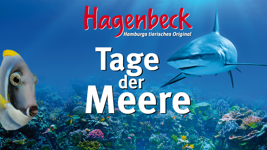 Vorschaubild zur Detailansicht der Veranstaltung: Tage der Meere im Tropen-Aquarium Hagenbeck Aktionstage für Groß und Klein vom 17. – 22. Oktober 2016