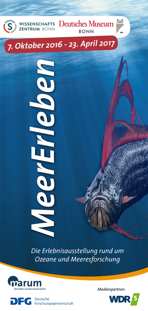 Vorschaubild zur Detailansicht der Veranstaltung: MeerErleben