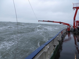Vorschaubild zur Detailansicht der Veranstaltung: Mit dem Forschungsschiff unterwegs -ein Blick in und auf den Meeresboden der Nordsee