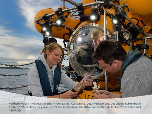 Vorschaubild zur Detailansicht der Veranstaltung: Foto-Ausstellung: Ozeanversauerung: Das andere Kohlendioxid-Problem