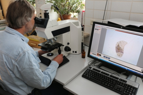 Vorschaubild zur Detailansicht der Veranstaltung: Meeresforschung für jedermann - Institutsführung im AWI