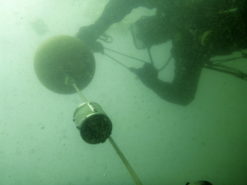 Vorschaubild zur Detailansicht der Veranstaltung: Warnemünder Abende: Welche Rolle spielt Mikroplastik in der Warnow? Vortrag von PD Dr. Matthias Labrenz