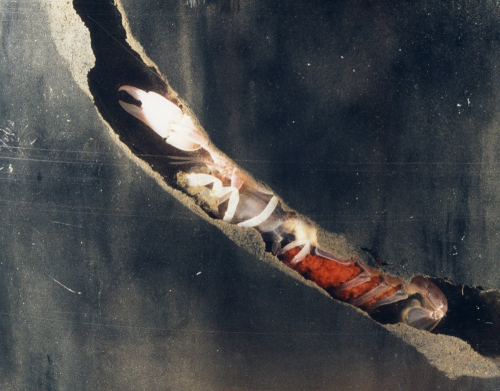 Vorschaubild zur Detailansicht der Veranstaltung: Warnemünder Abende: Über die unsichtbaren Bewohner des Meeresbodens. Vortrag von PD Dr. Stefan Forster, Uni Rostock