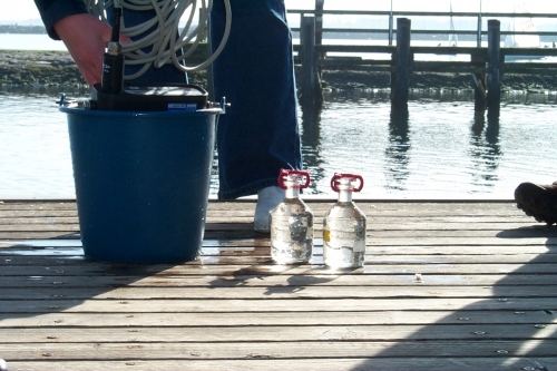 Vorschaubild zur Detailansicht der Veranstaltung: Warnemünder Abende: Schadstoffe in der Ostsee, Vortrag von Dr. Marion Abraham