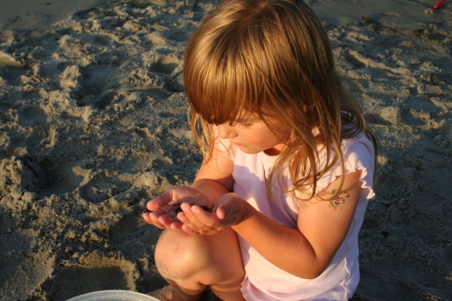 Link zur Veranstaltung - Vorschaubild zur Veranstaltung