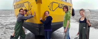 Vorschaubild zur Detailansicht der Veranstaltung: Meereswettbewerb