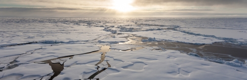 Link zur Veranstaltung - Vorschaubild zur Veranstaltung