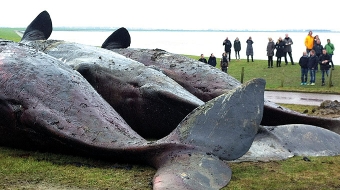 Vorschaubild zur Detailansicht der Veranstaltung: Kieler Woche Vorträge 2016: Dr. Uwe Piatkowski