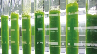 Vorschaubild zur Detailansicht der Veranstaltung: Kieler Woche Vorträge 2016: Prof. Dr. Rüdiger Schulz