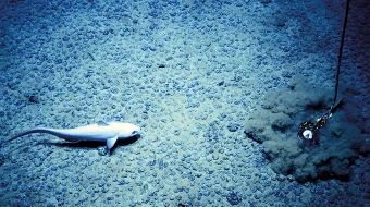 Vorschaubild zur Detailansicht der Veranstaltung: Kieler Woche Vorträge 2016: Dr. Matthias Haeckel