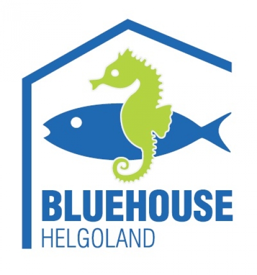 Vorschaubild zur Detailansicht der Veranstaltung: BLUEHOUSE -  Citizen Science Projekt zum World Oceans day