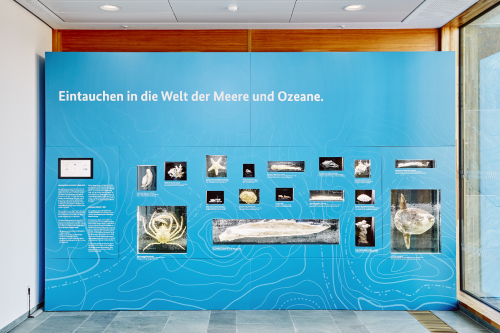 Vorschaubild zur Detailansicht der Veranstaltung: Ausstellung „Das Meer beginnt hier“ im Bundesministerium für Bildung und Forschung