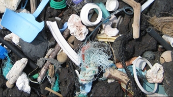 Vorschaubild zur Detailansicht der Veranstaltung: Müllkippe Meer - die verkannte Plastikflut