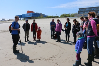 Vorschaubild zur Detailansicht der Veranstaltung: Wattführung im Weltnaturerbe – Meer entdecken im Jahr der Ozeane