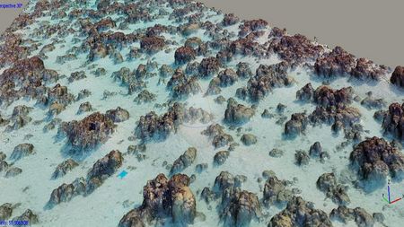 Foto einer 3-D-Rekonstruktion eines Riffs