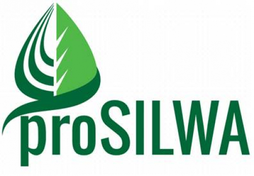 Vorschaubild zur Detailansicht der Veranstaltung: proSILWA-Werkstatt 2018 – Gemeinsam zu mehr Sicherheit und Gesundheit in Forstunternehmen