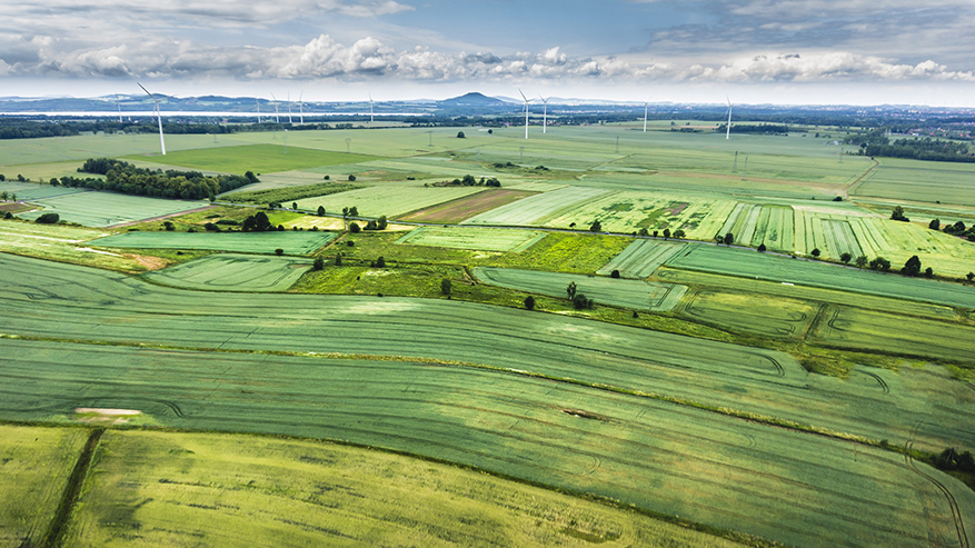 Symbolbild, Link: https://www.wissenschaftsjahr.de/2020/das-wissenschaftsjahr/themen/biooekonomie-und-wandel-beitrag-fuer-ein-zukunftsfaehiges-wirtschaften