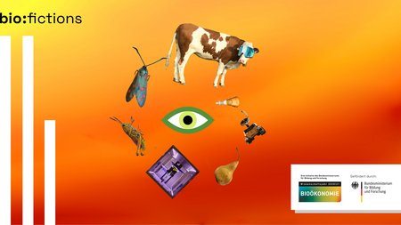 Motivgrafik Bio:fictions