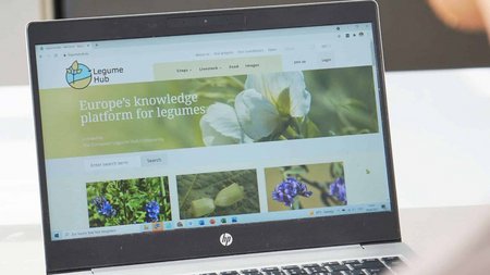 Blick auf die englische Version von Legume Hub