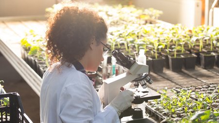 Frage SZ WJ ID 156603623