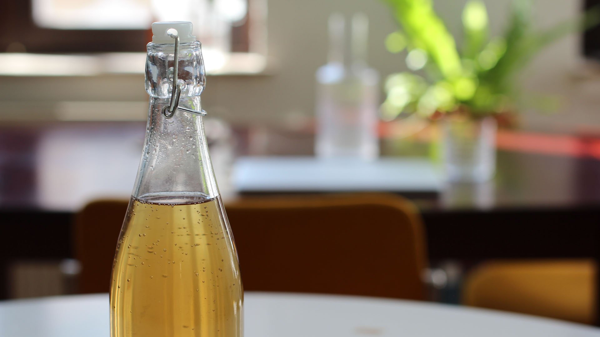 Wenn der Kombucha den gewünschten Geschmack und Kohlensäuregehalt erreicht hat, im Kühlschrank kaltstellen. Dort hält sich der Kombucha länger, da die Aktivität der Mikroorganismen bei kühleren Temperaturen nachlässt. Ca. 10-20% des Kombuchas verbleiben nun als neue Starterflüssigkeit für den nächsten Ansatz im Glas.