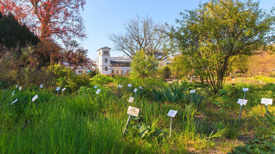 Botanischer Garten