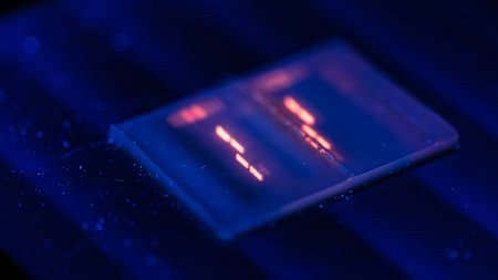 Erbmaterial in einem Agarose-Gel