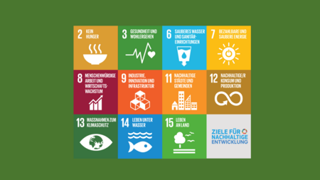 SDGs