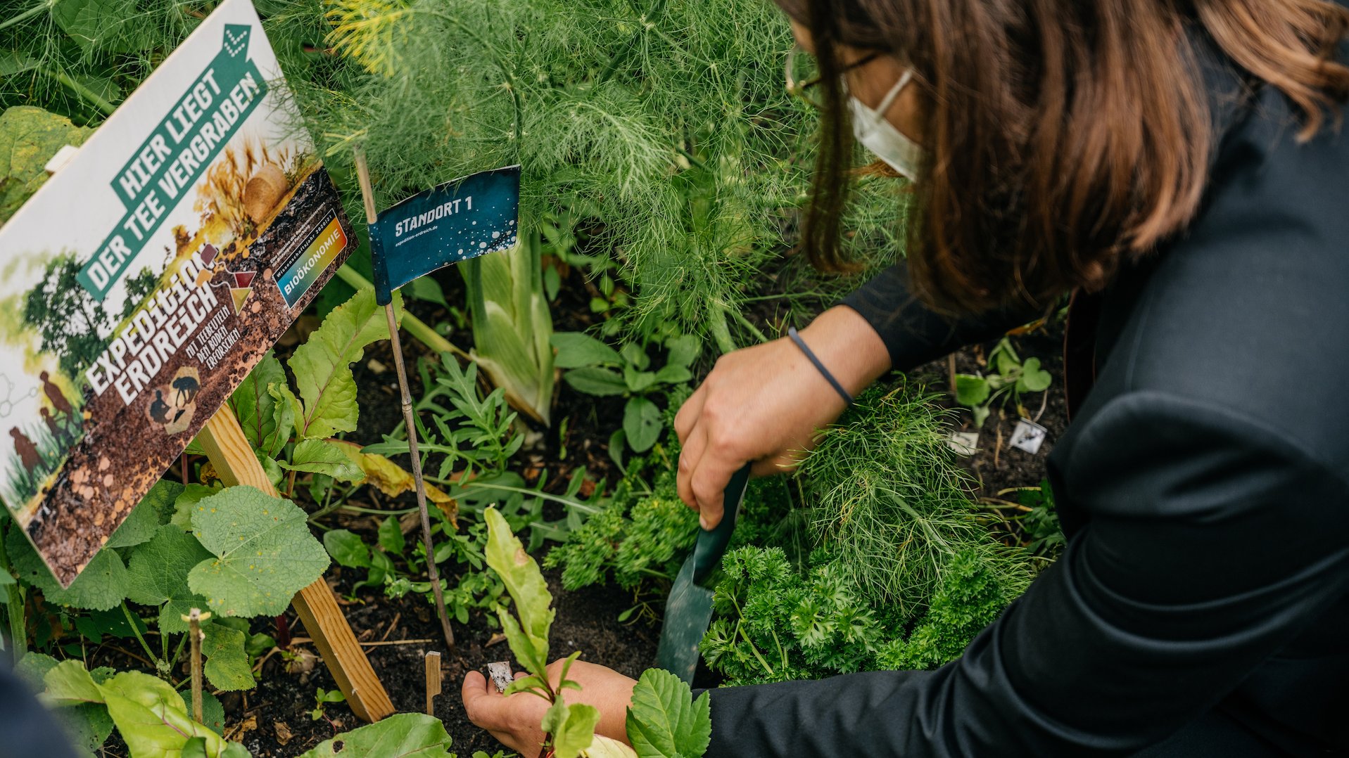 Luise Ohmann vom Helmholtz-Zentrum für Umweltforschung (UFZ) gräbt Teebeutel im Rahmen der Bürgerforschungsaktion „Expedition Erdreich“ im Wissenschaftsjahr 2020|21 – Bioökonomie aus. Link: 