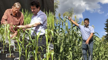 © Christian Fischer/ Wikimedia Commons