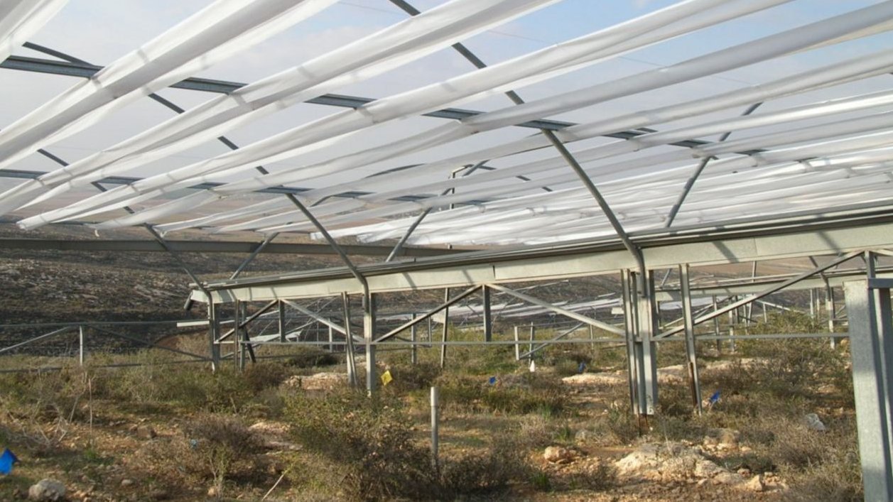 Langzeitexperiment in der Wüste