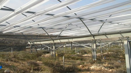 Langzeitexperiment in der Wüste