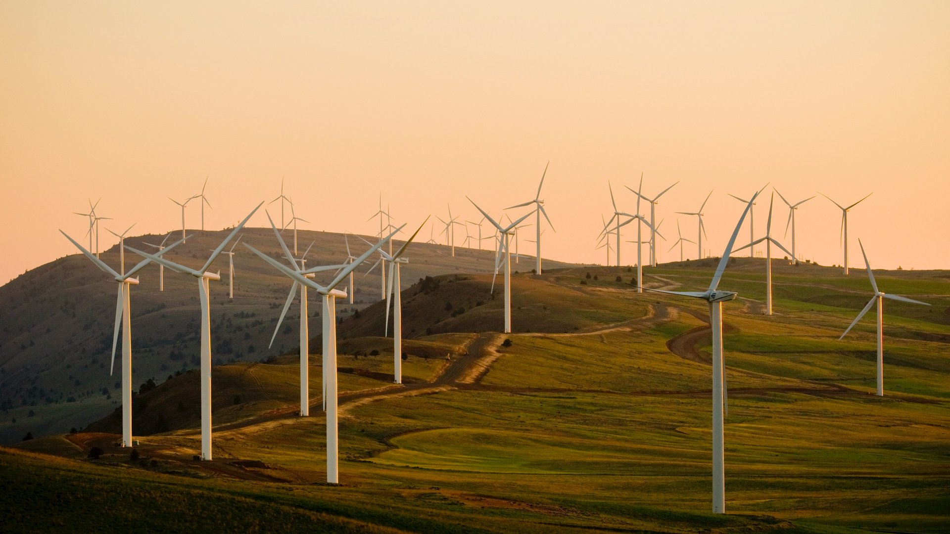 Windräder auf einem Feld