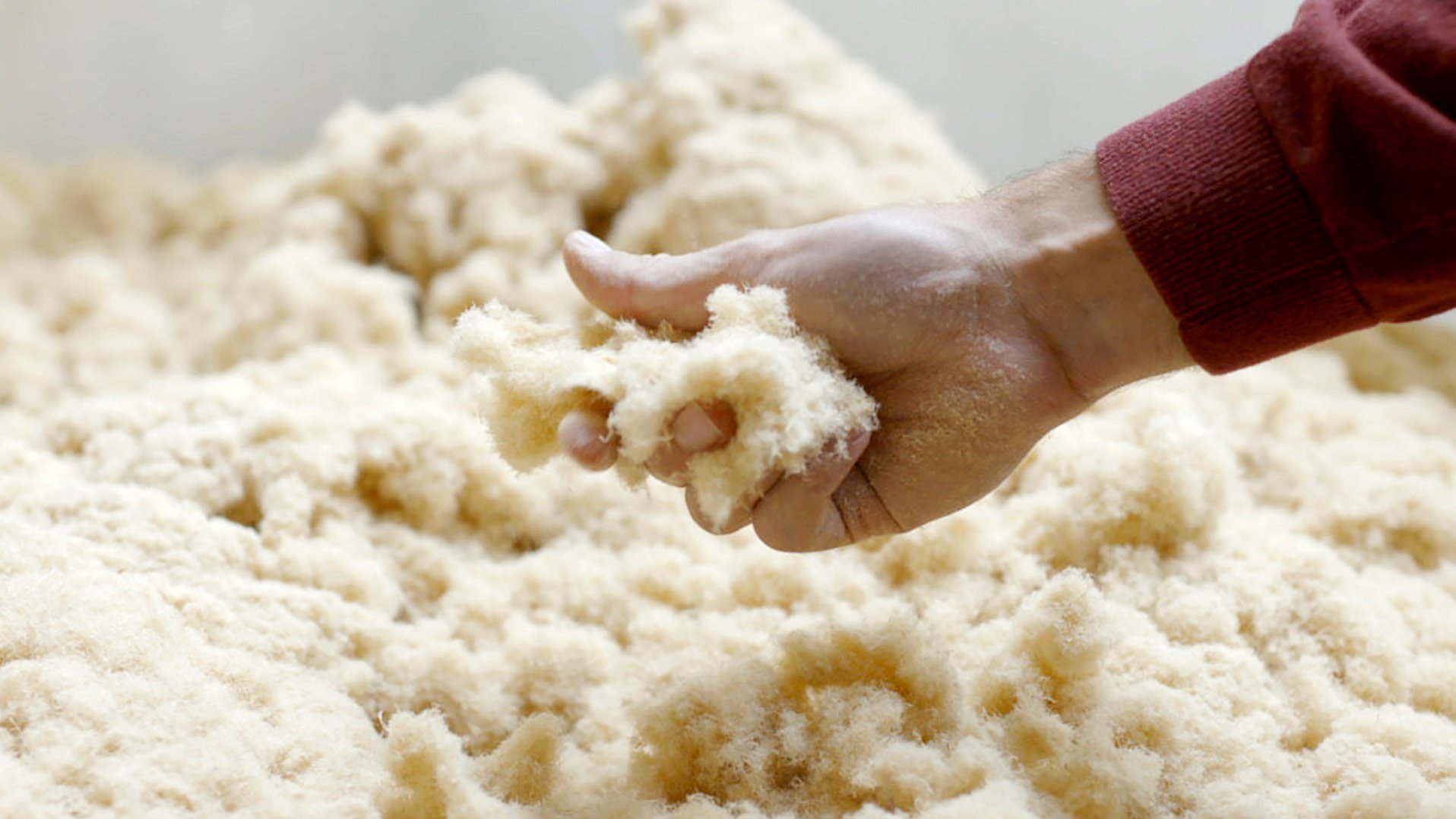 Holzfasern können als nachwachsende Leichtbaurohstoffe auch für Stand-up-Paddling-Boards genutzt werden.