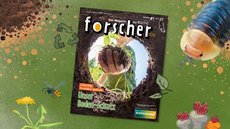 Abbildung des "forscher" Covers