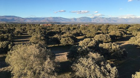 Foto eines Tesareals für Nährstoffhaushalt