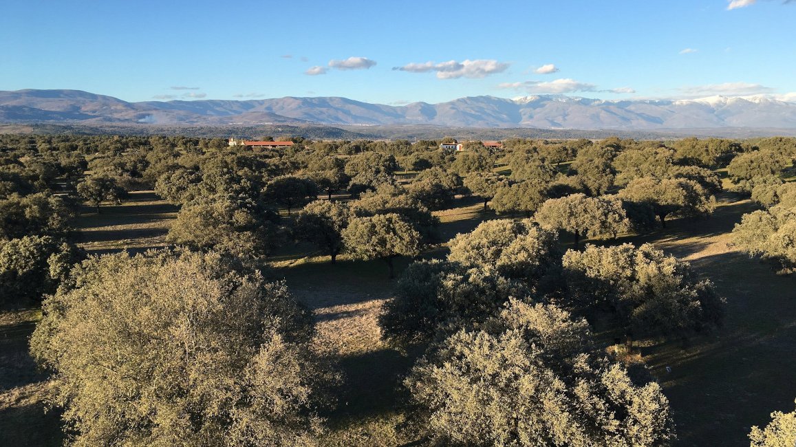 Foto eines Testareals für Nährstoffhaushalt