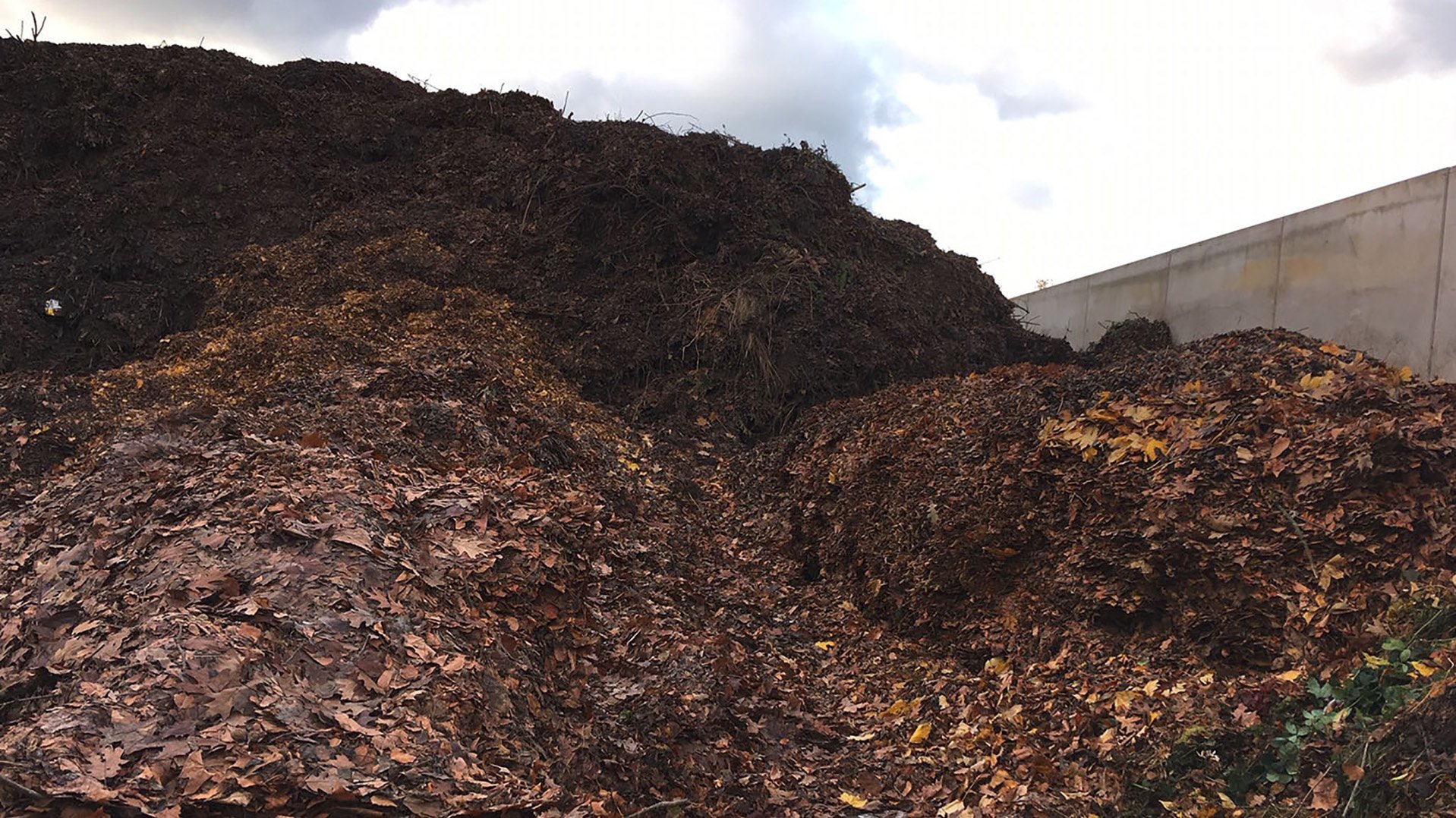 Großer Haufen mit Laub