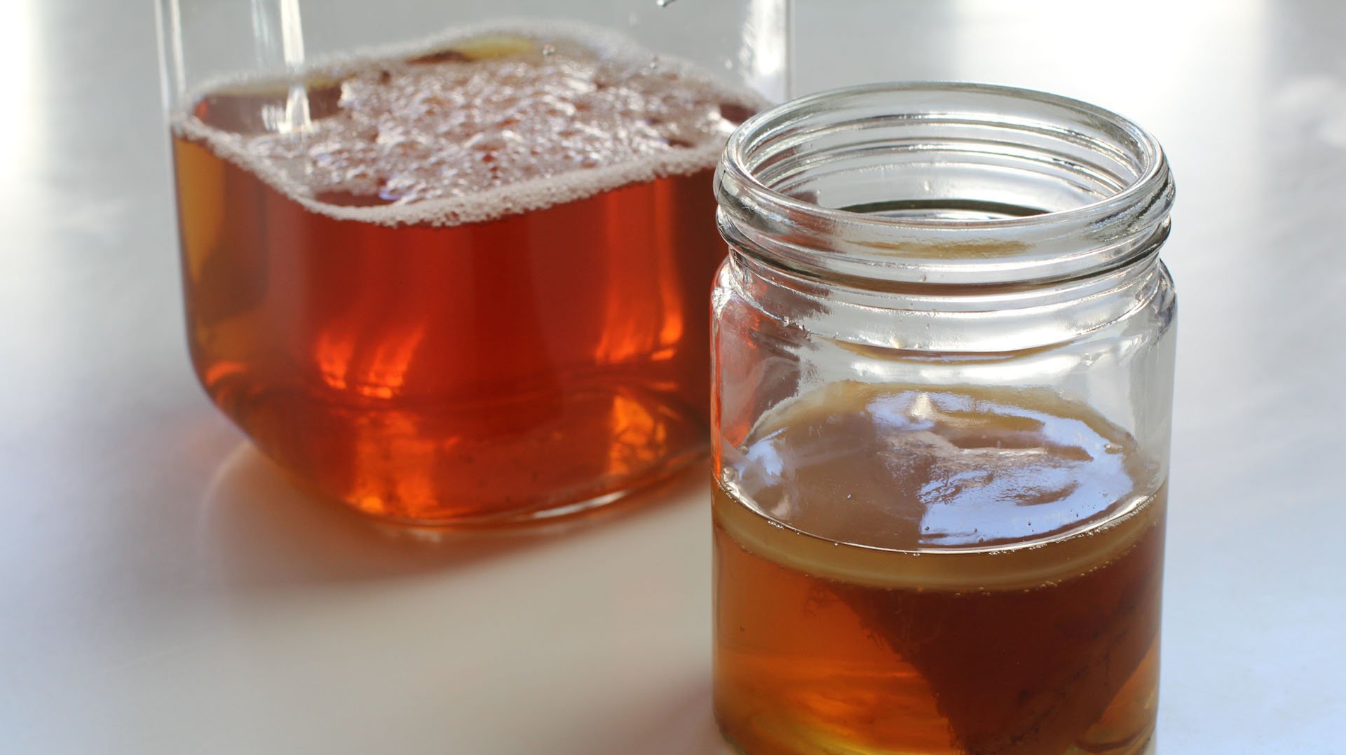 Nun die Ansatzflüssigkeit und den sogenannten SCOBY in den süßen Tee geben. SCOBY steht für "Symbiotic Culture of Bacteria and Yeasts" und bezeichnet eine Gemeinschaft aus Hefen, Milchsäure- und Essigsäurebakterien. Diese Mikroorganismen werden die Arbeit ab hier übernehmen und unseren gesüßten Tee in ein sprudelndes, süß-säuerliches Erfrischungsgetränk verwandeln.