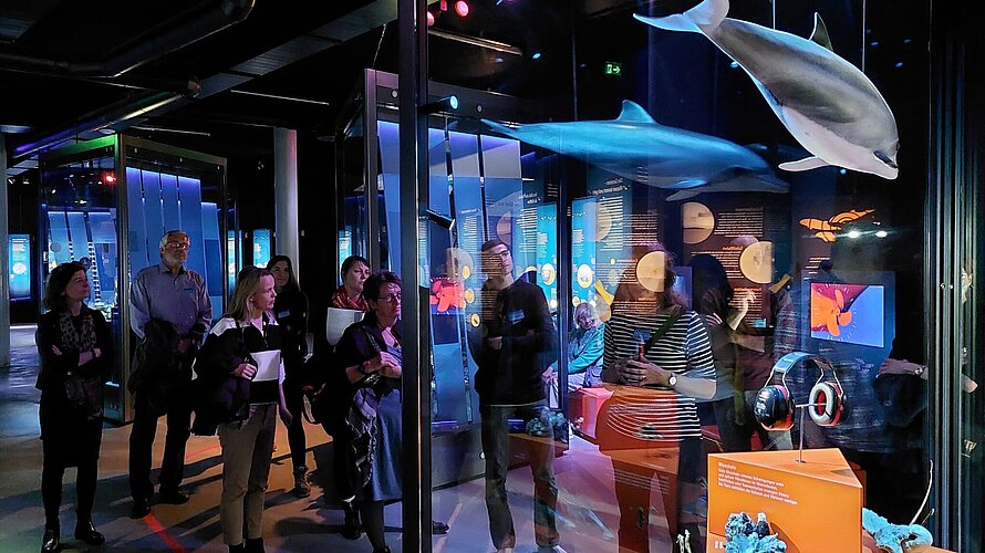 Alternative_OFL-Ozeaneum_Workshop_Stralsund_Foto__IFAI_03