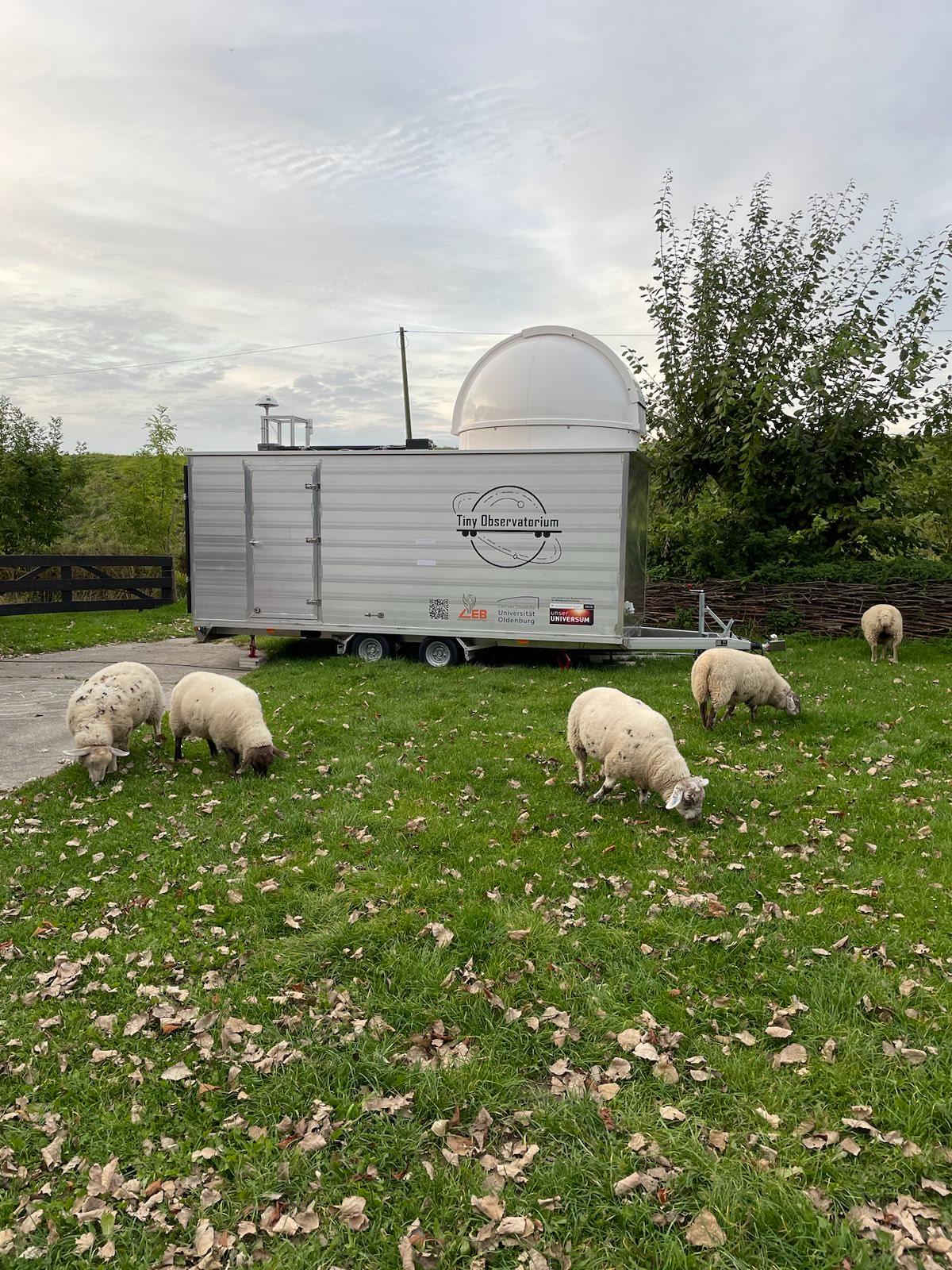 Die mobile Sternwarte am Deich mit Schafen.