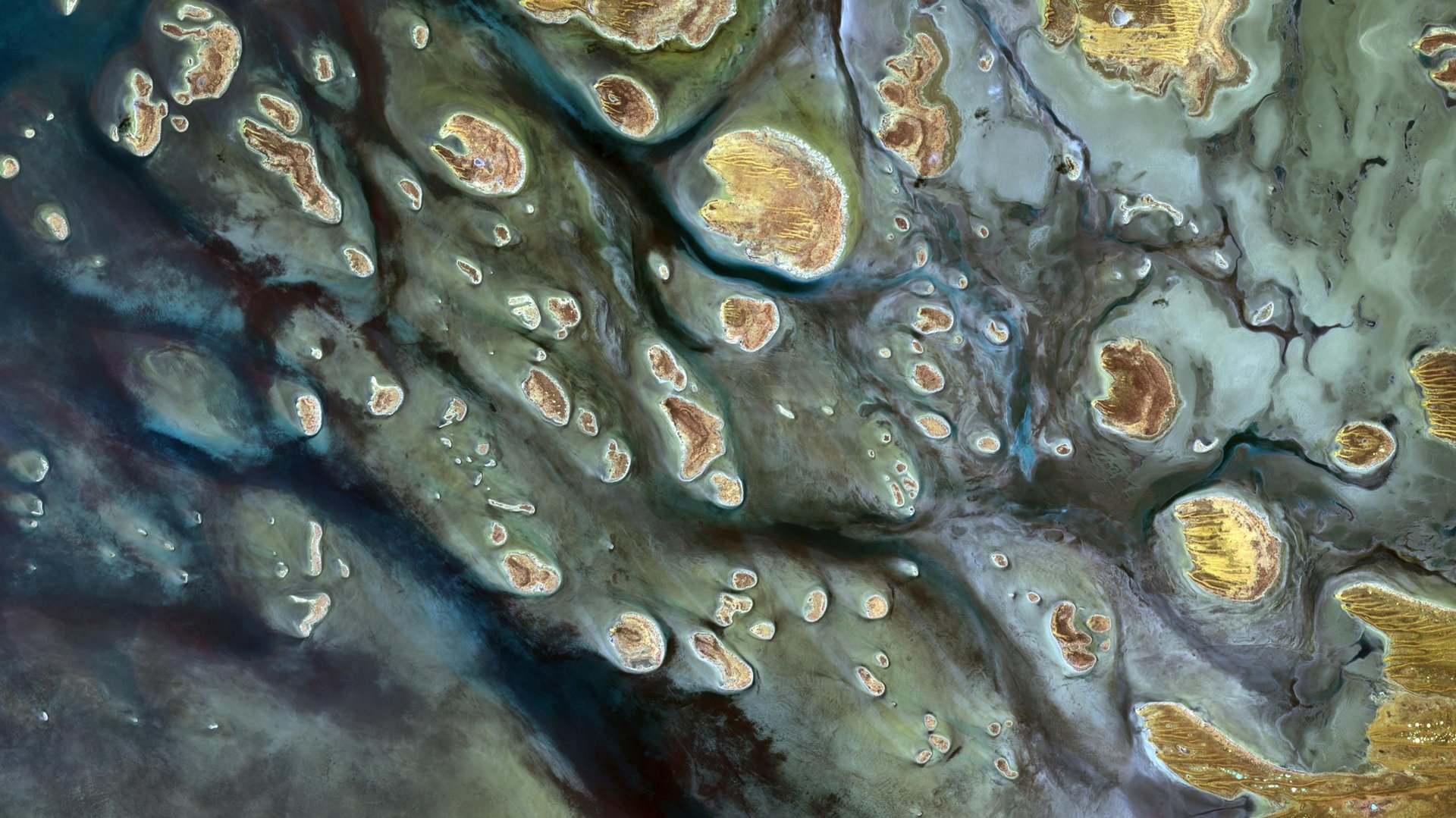 Satellitenbild einer dunklen Wasserfläche mit vielen kleinen hellen Felsinseln darin